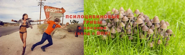 ECSTASY Магас