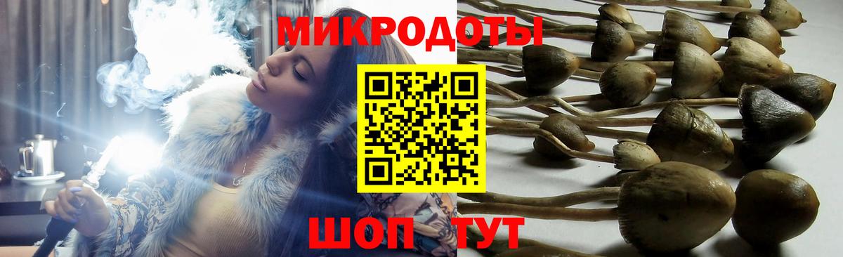 Псилоцибиновые грибы прущие грибы Тейково